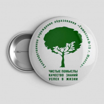 Значок Гимназия №19